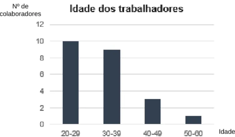 Figura 14 - Distribuição das idades dos colaboradores 