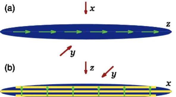 FIG. 1. (Color online) (a) The usual quasi-1D dipolar BEC soliton with polarization along the mobility direction z