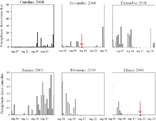 Figura 7. Variação da precipitação diária para o período de tempo entre 1 de Outubro de 2008 e 31  de Março de 2009 (SNIRH, 2008).