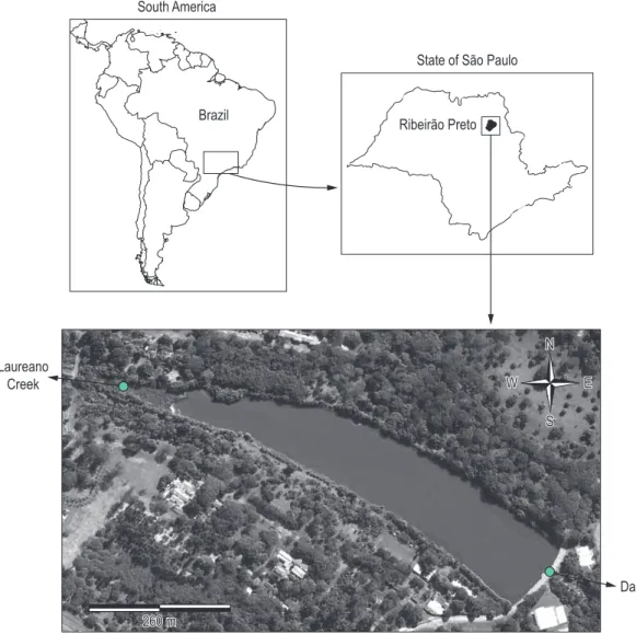Figure 1. Location of Lake Monte Alegre in Brazil, and a satellite photo of the lake.
