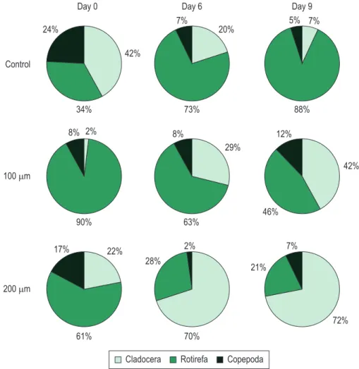 Figure 4. Structure of zooplankton assemblage during the experiment.