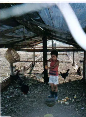 Foto 01: Foto oferecida  pela mãe  do  Lori à  pesquisadora. Fazenda  Velha –  Sítio  Pnieu  –  Bairro do Cascalho