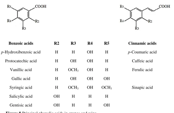 Figure 8 Principal phenolic acids in grapes and wine. 