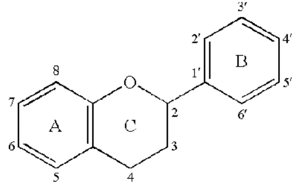 Figure 9 Basic structure of flavonoids. 