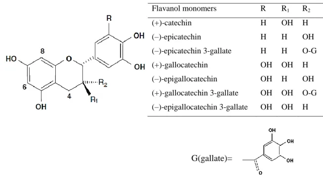 Figure 12 Chemical structures of the of the flavan-3-ols monomers (Terrier et al., 2009)