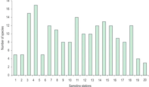 Figure 5. Richness of the species recorded in 20 sampling stations of the basin of the Apodi/Mossoró River, RN,  Northeast Brazil.