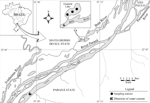 Figure 1. Study area showing the sampling sites at the Guaraná Lake.