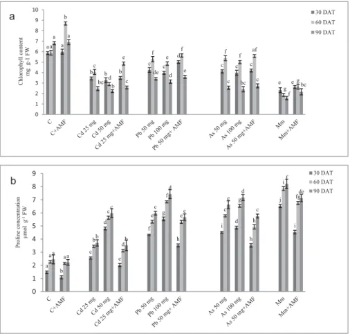Figure 1. Plant biochemical characteristics (a)Total Chlorophyll content, (b) Proline concentration in Tomato leaves