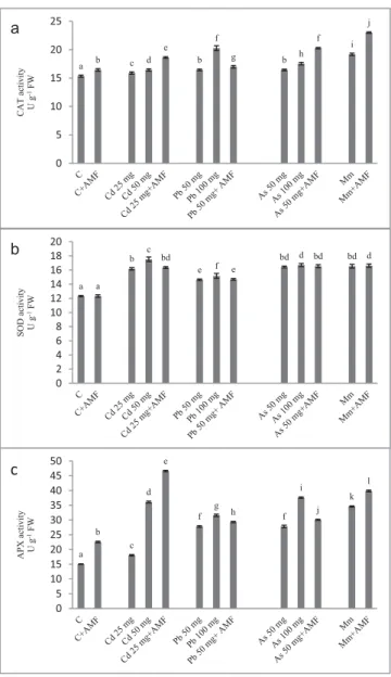 Figure 2. The activities of ROS antioxidant enzymes in Tomato plants. (a) CAT activity (b) SOD activity (c) APX activity