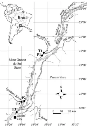 Figure 1. Location of sampling sites at the Upper Paraná  River floodplain. Sampling sites: T1- Amambaí River,  P1- Paraná River 1, P2- Paraná River 2, T2- Iguatemi  River, P3- Paraná River 3.