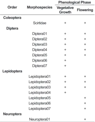 Table 1. Morphospecies occurrence of aquatic insect  larvae found in A. distichantha of the rocky walls at the  left bank of the Paraná River (PR, Brazil) during both  phenological phases