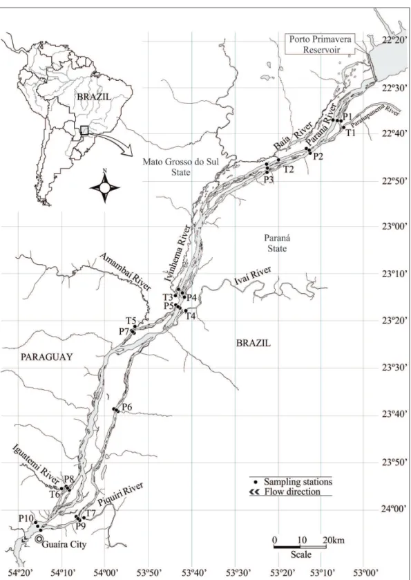 Figure 1. Map showing the sampling stations at the Upper Paraná River considering different distances from the  Porto Primavera reservoir P1 to P10 – sampling stations at the right and left margins and at the center of the Paraná  River main channel, T1 to