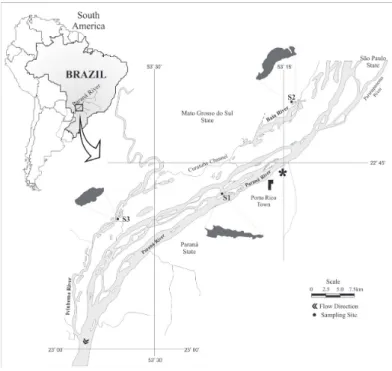 Figure 2. Variation of the water level of the Paraná River  in the years of 2000, 2001, 2010 and 2011 (The arrows  correspond to the sampling days).