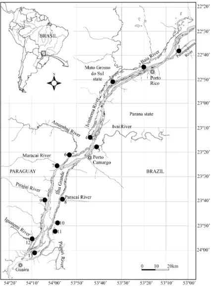 Figure 1. Sampling sites in the Upper Paraná River floodplain. Paraná River in grey. (1) Paranapanema; (2) Baía; 