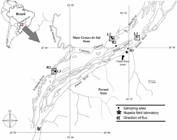 Figure 1. Map and localization of sampling sites in the upper Paraná River floodplain (R1: Paraná River; R2: Baia  River; R3: Ivinhema River; L1: Garças lake; L2: Guaraná lake; L3: Patos lake).