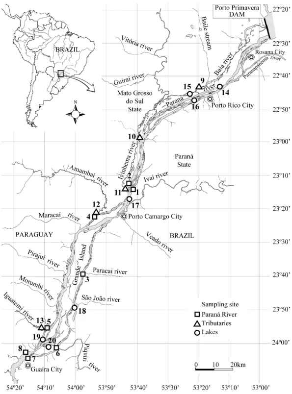 Figure 1. Sampling sites in the Paraná River (1-8), tributaries (9-13) and lakes (14-20) in the river-floodplain system  of the Upper Paraná River