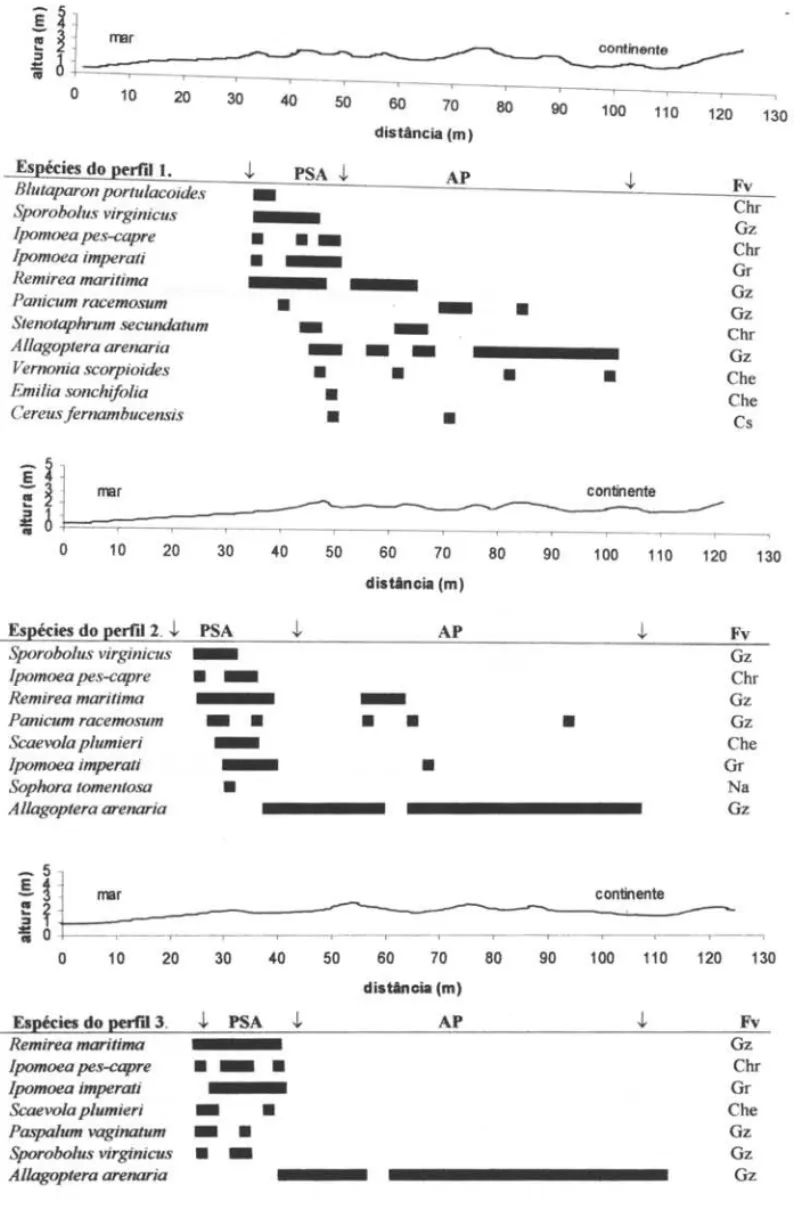 Figura  1.  Ocorrência das espécies da comunidade psamófila-reptante (PSA) ao longo de cinco perfis topográficos, no cordão externo  da  restinga  de  Marambaia,  RJ