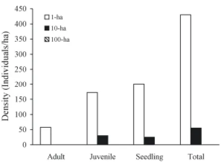 Figure 1.  Mean density of individuals/ha for the three secondary and the weedy palm species pooled in the Dimona site