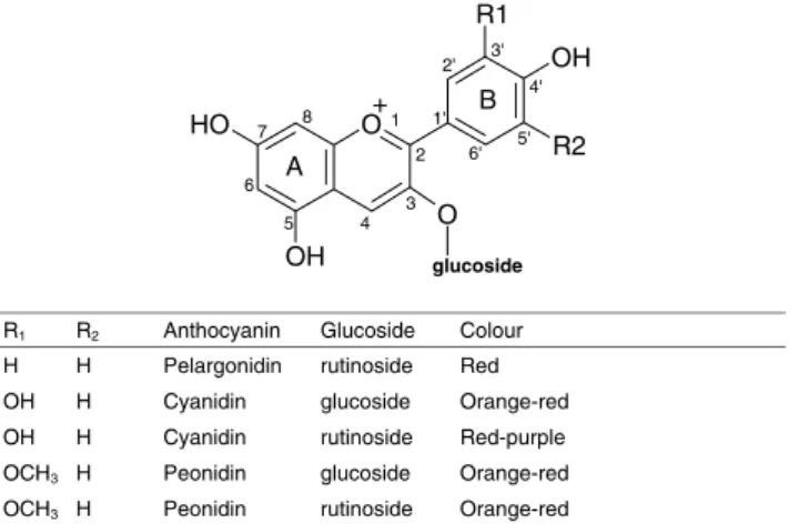 Fig. 1. The basic chemical structure of the six most commonly occurring anthocyanins in sweet cherries
