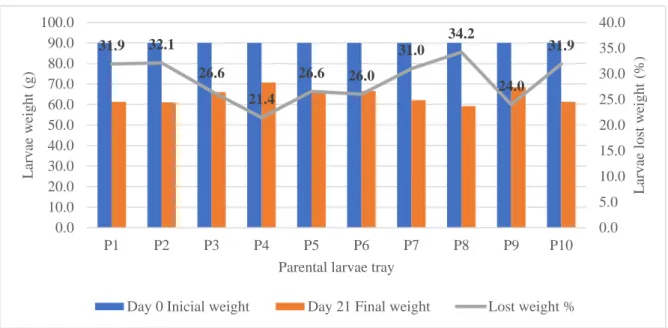 Figure 14 – Parental larvae weight loss in 21 days per tray, and the representing percentage