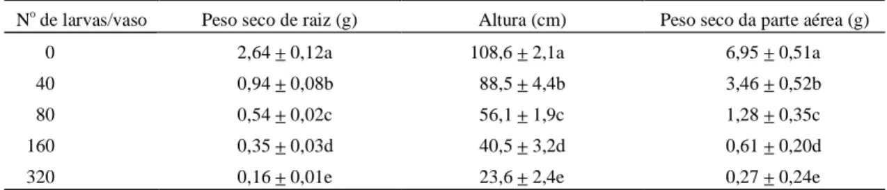 FIG. 1. Relação entre a densidade de larvas de Diabrotica speciosa e peso seco da raiz e peso seco da parte aérea do milho