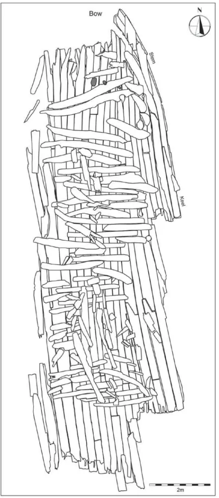 Figure 4. Plan of the Boa Vista 2 site, with the scattered timbers.