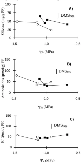 FIG. 5. Curva de perda de umidade da folha, a rela- rela-ção entre o potencial hídrico de folha (Y hf ) e o conteúdo hídrico relativo (CHR), em dois híbridos de milho, sob deficiência hídrica  apli-cada aos 46 dias após o plantio (DAP).