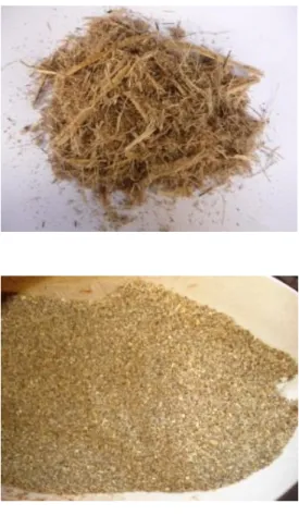 Figure  4.  From  the  top:  [1]  Sugarcane  bagasse;  [2]  Concentrate  for  urea  diet  and  [3] 