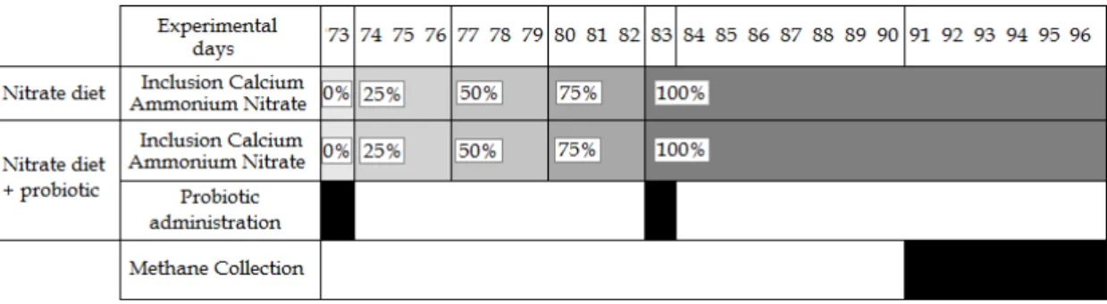 Figure  6:  Schedule  of  the  adaptation  period  to  nitrate  diet  for  the  third  period,  probiotic administration and methane collection days