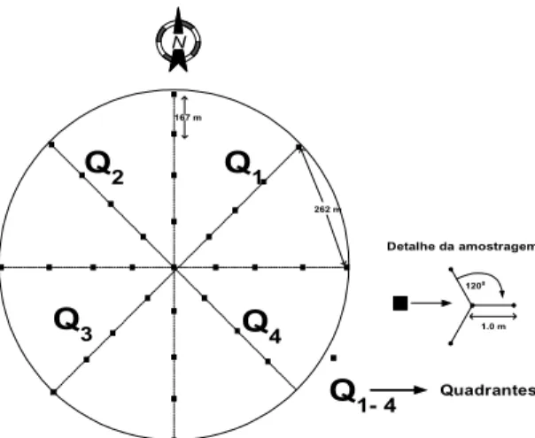FIG. 1. Esquema de amostragem na área do pivô central. $γ (h)= 1 2N(h) [z(s ) - z(s + h) ] , i =1 N(h) i i 2∑Z(x) =µv+ε(x)var[ ( )εx−ε(x+h)]=E[{ ( )εx−ε( x + h )} ]2 = 2 γ ( ).h