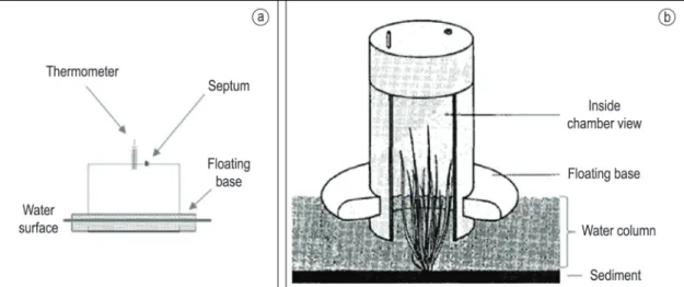 Figure 2. Schematic figure representing chambers for sampling CO 2  fluxes in the absence (a) and presence (b) of  aquatic macrophytes