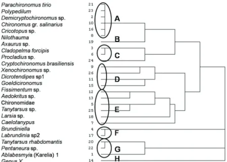 Figure 6. Dendrogram of Chironomidae genera with respect to different depths (m) in Lake Figueira by Cosine’s  algorithm, (A) genera in depths of at least 8 m, (B) genera between 8 m and 11 m, (C) genera in depths from 2.5  m to 8 m, (D) and (E) genra whic