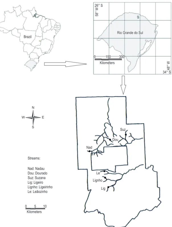 Figure 1. Geographical location Erechim, RS, and distribution of the urban streams studied.