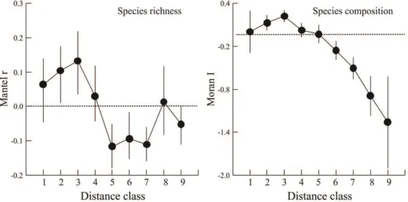 Figure  3.  Spatial autocorrelation for species richness (Mantel correlogram) and composition (Moran’s I) in the  Ivinhema River basin, Upper Paraná River, from 2001 to 2013.