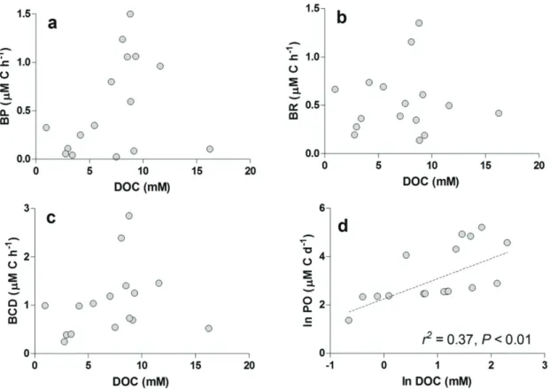 Figure 5. Relationships between DOC concentration and consumptive processes in coastal lagoons from the north- north-ern Rio de Janeiro State, in a spatial perspective (each lagoon was sampled only once and is represented by a single  point in each graph)