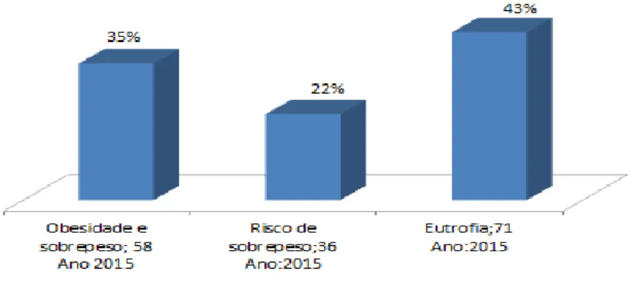 Gráfico 6- Resultado do IMC coletado no fim do programa 2015 