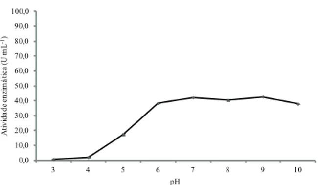 Figura 2. Efeito da temperatura sobre a atividade das proteases  de  Aspergillus lavo-furcatis (Manaus, AM, 2013).
