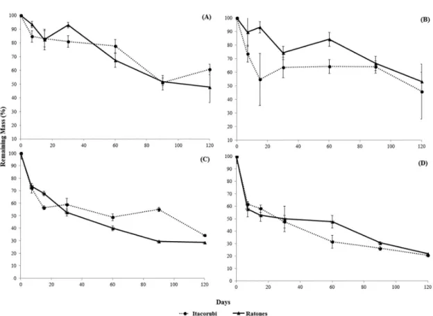 Figure 3. Averages values and standard error (vertical bars) of senescent leaves mass loss for A