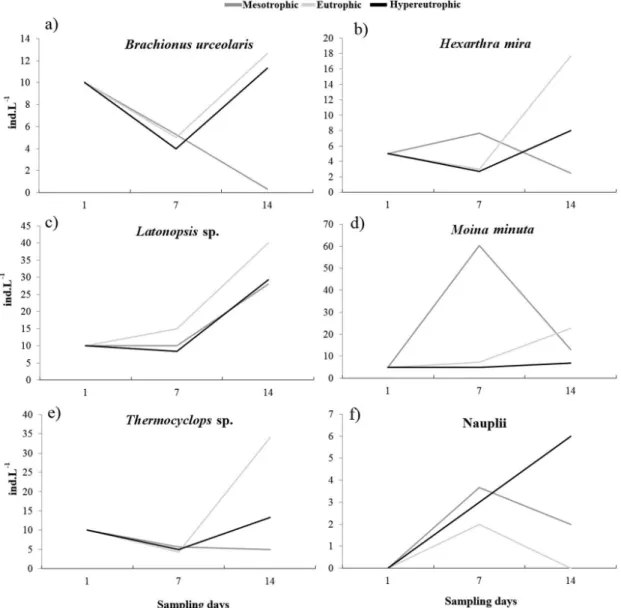Table 2). M. minuta showed a higher density on the  7 th  experiment day on the mesotrophic treatment,  decreasing drastically afterwards, whereas higher  density was observed on the 14 th  day on the  eutrophic treatment