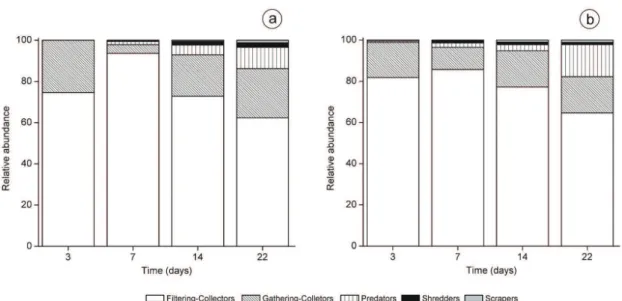 Figure 3. Percentage of functional feeding groups (ex- (ex-cluding chironomids for functional feeding classification)  of invertebrate community on leaves of tree species  dur-ing breakdown of C