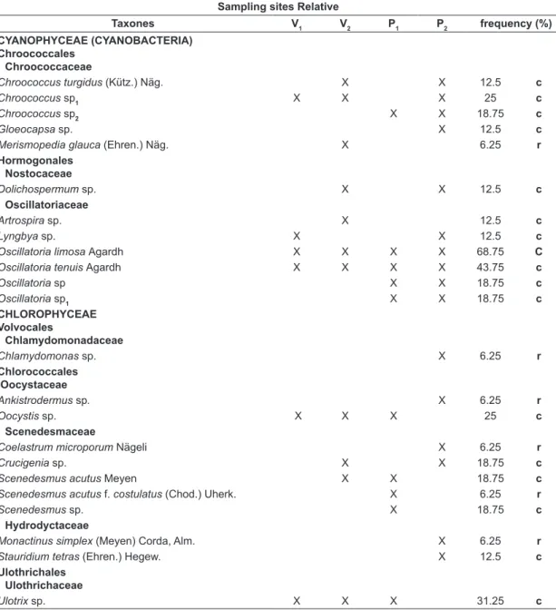 Table 2. Distribution and relative frequency of planktonic algae and Cyanobacteria in the sampling stations of the  Bebedero basin