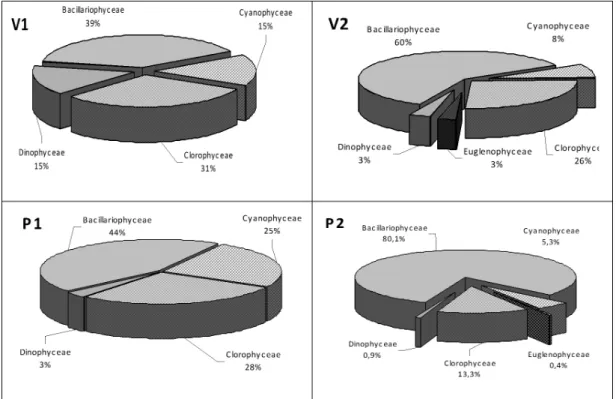 Figure 2. Relative abundance of different class of algae at the sampling sites in the Bebedero Basin (San Luis)