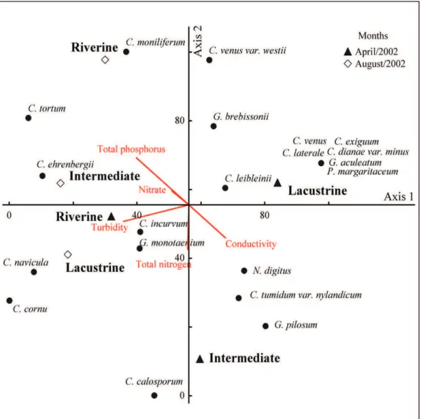 Figure 4. Ordination by the Canonical correspondence analysis (CCA) of abiotic variables and species, analyzed for  the six sampling sites along the Rosana Reservoir, from April/2002 and August/2002.