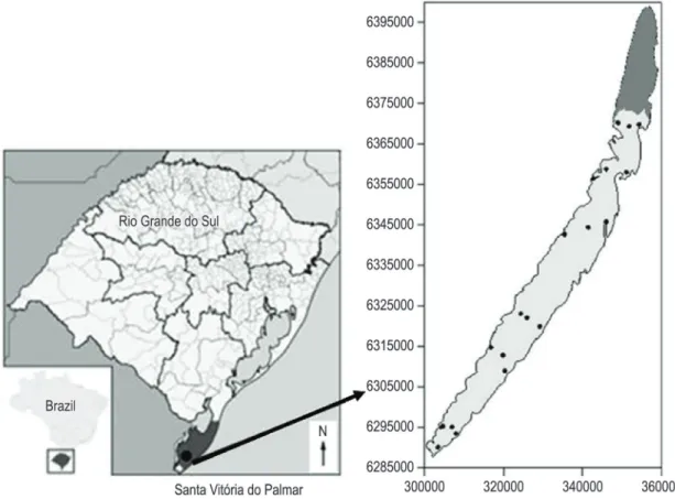 Figure 1. Location of Lake Mangueira in Santa Vitória do Palmar, state of Rio Grande do Sul, Brazil