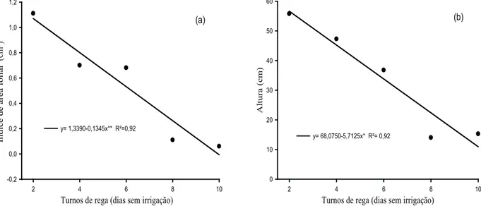 Figura 4. Índice de área foliar (IAF) (a) e altura do colmo (ALT) (b) de capim-buffel [Cenchrus ciliaris (L.) cv