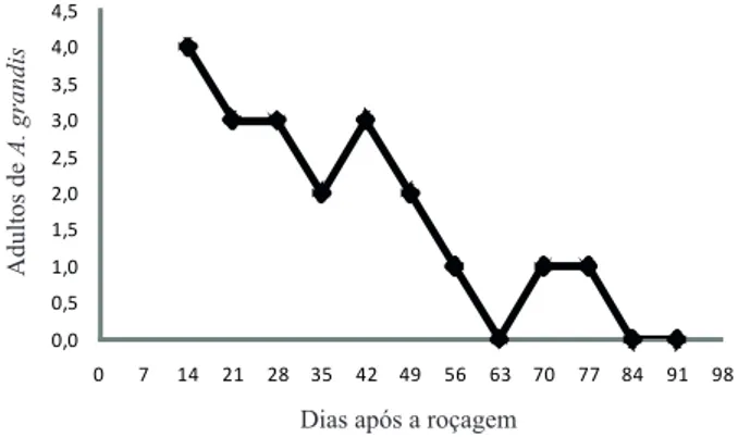 Figura 1.  Número de adultos de A. grandis capturados em  armadilha de feromônio, na área experimental  (Jaboticabal, SP, 2011).0,00,51,01,52,02,53,03,54,04,5071421283542 49 56 63 70 77 84 91 98Adultos de Anthonomus grandis