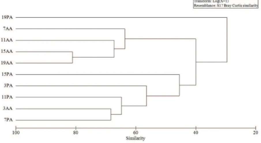 Figure 4. Dendrogram (UPGMA) based on the Bray-Curtis similarity index with the taxonomic composition of  aquatic invertebrates in the presence (PA) and absence (AA) of A