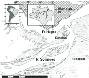 Figure 1. Map of the Amazon floodplain near Manaus,  Brazil, showing the location of Lago Catalão (circled  area), 3° 10’ 04” S and 59° 54’ 45” W