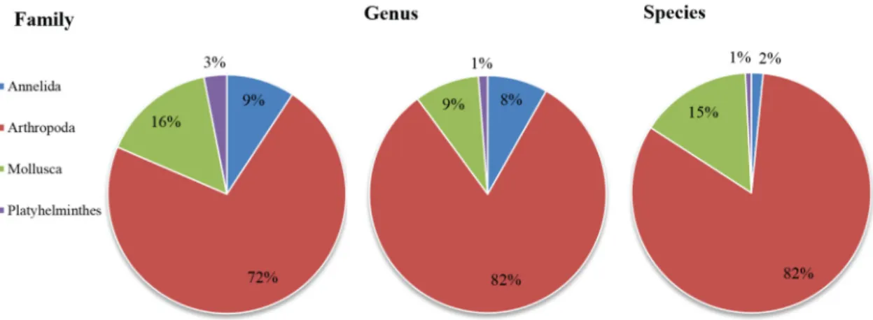 Figure 3. Macroinvertebrate recorded in the Iranian running waters, showing the species, genus and family  composition; a total of 4 phyla encompassing 126 species, 158 genus, 97 family, 25 order and 7 classes identified  from the meta-data extracted from 