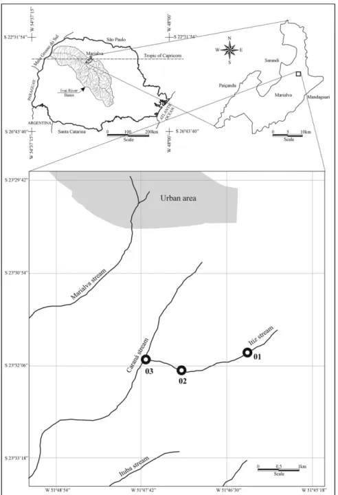 Figure 1. Map of Itiz stream in the Ivaí River basin, state of Paraná, Brazil, indicating sampling stretch (01= headwater,  02= middle and 03= mouth).